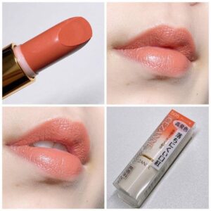 Son môi Cezanne Lasting Lip Color (Màu Cam đất)_N505 - Hàng Nhật nội địa