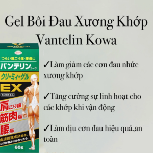 Dầu xoa bóp giảm đau xương khớp Banterin Kowa EX Nhật Bản 60g