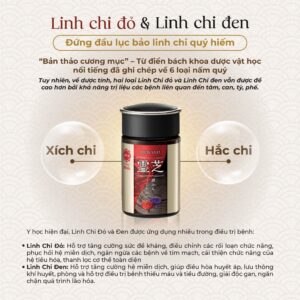 MENARD- Viên Uống Linh Chi Đen & Đỏ Tinh Khiết Cô Đặc Reishi 100 Viên, Thượng Phẩm Linh Chi