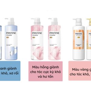 Bộ dầu gội & xả Pantene micellar (400ml + 400g) màu xanh cho tóc khô, xơ rối - Hàng Nhật nội địa