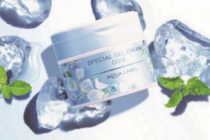 Kem dưỡng mát lạnh se khít lỗ chân lông Shiseido Aqualabel Special gel cream COOL 90g - Hàng Nhật nội địa