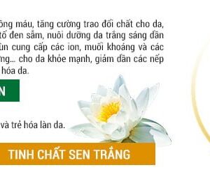 KEM TẮM TRẮNG BÙN KHOÁNG THIÊN NHIÊN VÀ TINH CHẤT SEN TRẮNG SAKURA DEAD SEA MINERAL MUD WHITENING MASK CREAM