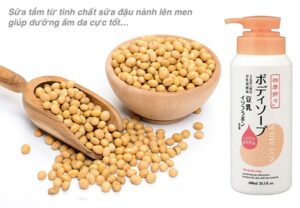 Sữa tắm chiết xuất từ đậu nành Soy Milk 600ml - Hàng Nhật nội địa