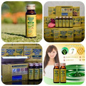 Tinh chất tảo tươi Spirulina Extract Gold (hộp 10 lọ)