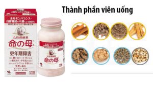 Viên Uống Hỗ Trợ Tiền Mãn Kinh Kobayashi Nhật Bản 840 Viên - Hàng Nhật nội địa