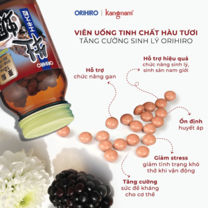 Viên uống tinh chất hàu Orihiro 120 viên - Hàng Nhật nội địa